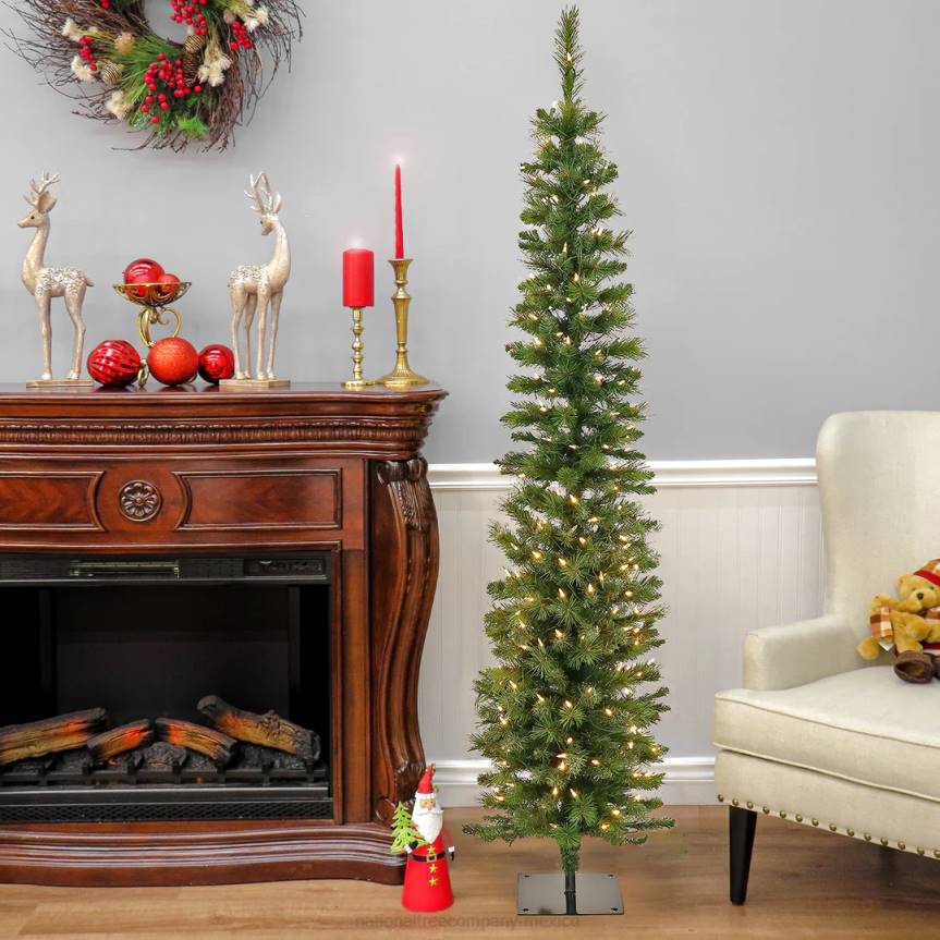 6 ft. Pre-Lit Nooksack Fir Pencil Slim Tree with LED Lights National Tree CompanyLBRH137