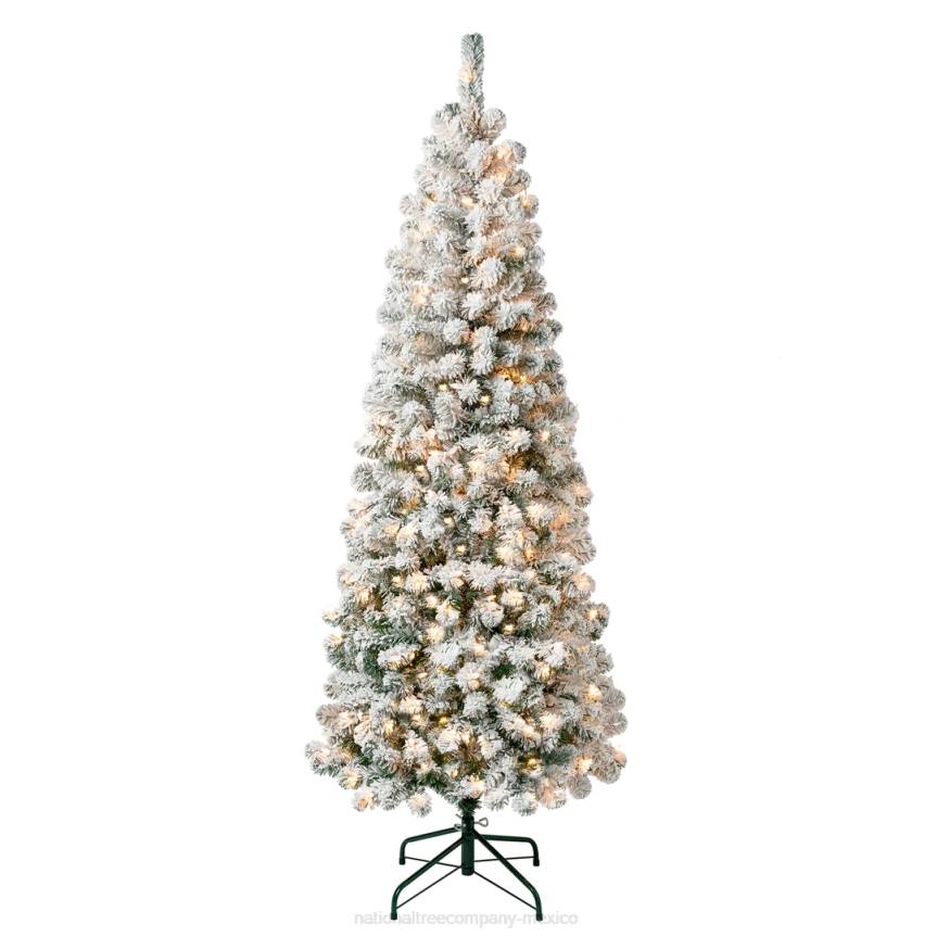 First Traditions Pre-Lit Acacia Flocked Tree Medium Christmas Tree, Clear Incandescent Lights, Plug In, 6 ft National Tree CompanyLBRH41