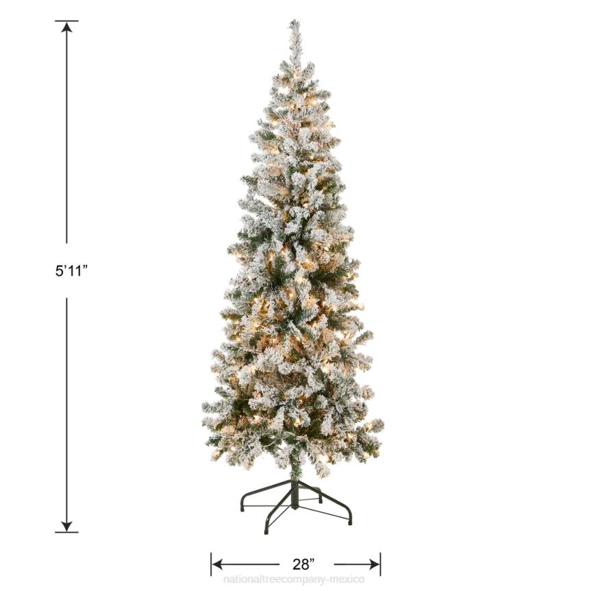 First Traditions Pre-Lit Acacia Flocked Tree Medium Christmas Tree, Clear Incandescent Lights, Plug In, 6 ft National Tree CompanyLBRH41
