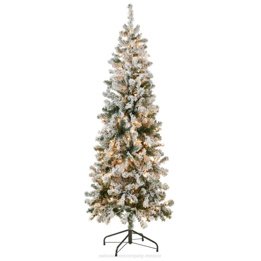First Traditions Pre-Lit Acacia Flocked Tree Medium Christmas Tree, Clear Incandescent Lights, Plug In, 6 ft National Tree CompanyLBRH41