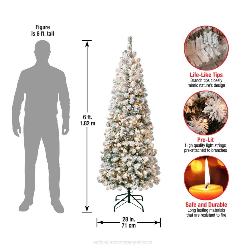 First Traditions Pre-Lit Acacia Flocked Tree Medium Christmas Tree, Clear Incandescent Lights, Plug In, 6 ft National Tree CompanyLBRH41