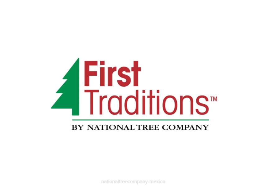 First Traditions Pre-Lit Acacia Flocked Tree Medium Christmas Tree, Clear Incandescent Lights, Plug In, 6 ft National Tree CompanyLBRH41