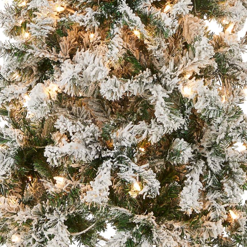 First Traditions Pre-Lit Acacia Flocked Tree Medium Christmas Tree, Clear Incandescent Lights, Plug In, 6 ft National Tree CompanyLBRH41
