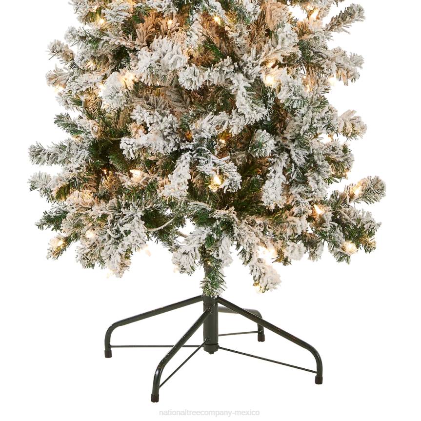 First Traditions Pre-Lit Acacia Flocked Tree Medium Christmas Tree, Clear Incandescent Lights, Plug In, 6 ft National Tree CompanyLBRH41