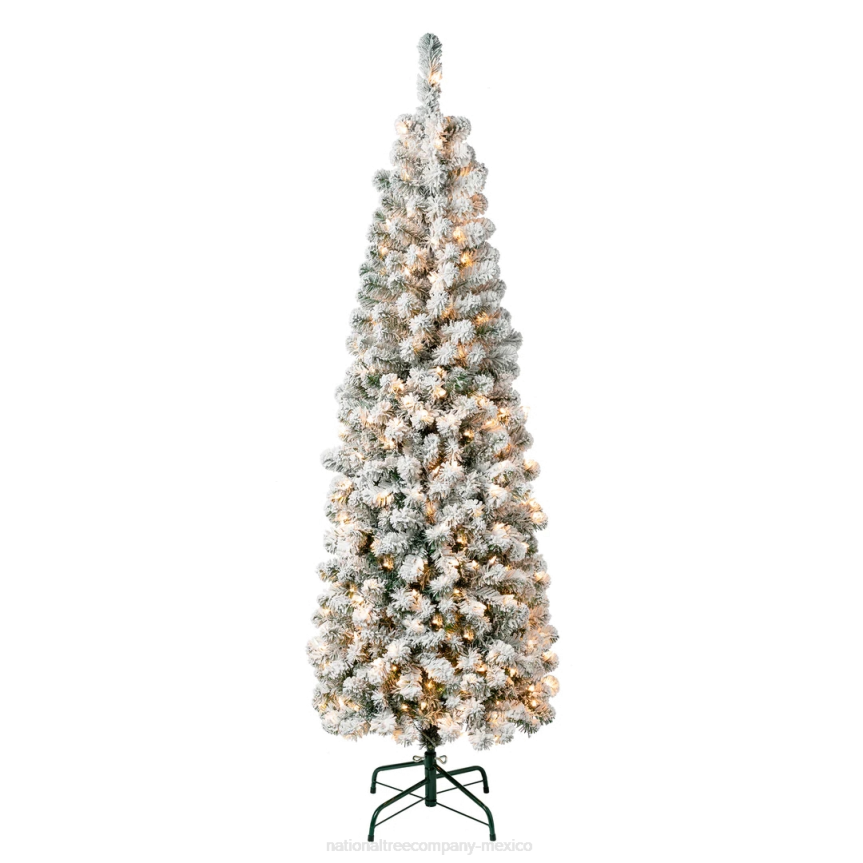 First Traditions Pre-Lit Acacia Flocked Tree Slim Christmas Tree, Clear Incandescent Lights, Plug In, 6 ft National Tree CompanyLBRH117