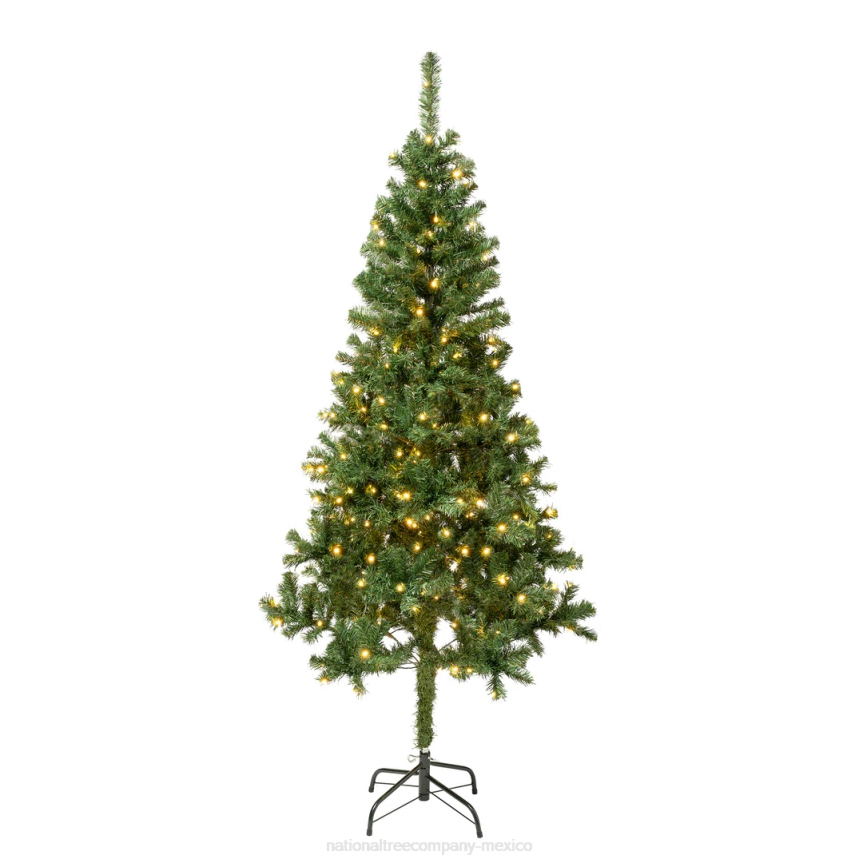 First Traditions Pre-Lit Artificial Linden Spruce Christmas Tree, Warm White LED Lights, Plug In, 6 ft National Tree CompanyLBRH184