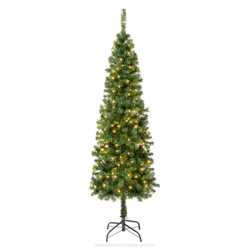 First Traditions Pre-Lit Artificial Linden Spruce Christmas Tree, Warm White LED Lights, Plug In, 6 ft National Tree CompanyLBRH77