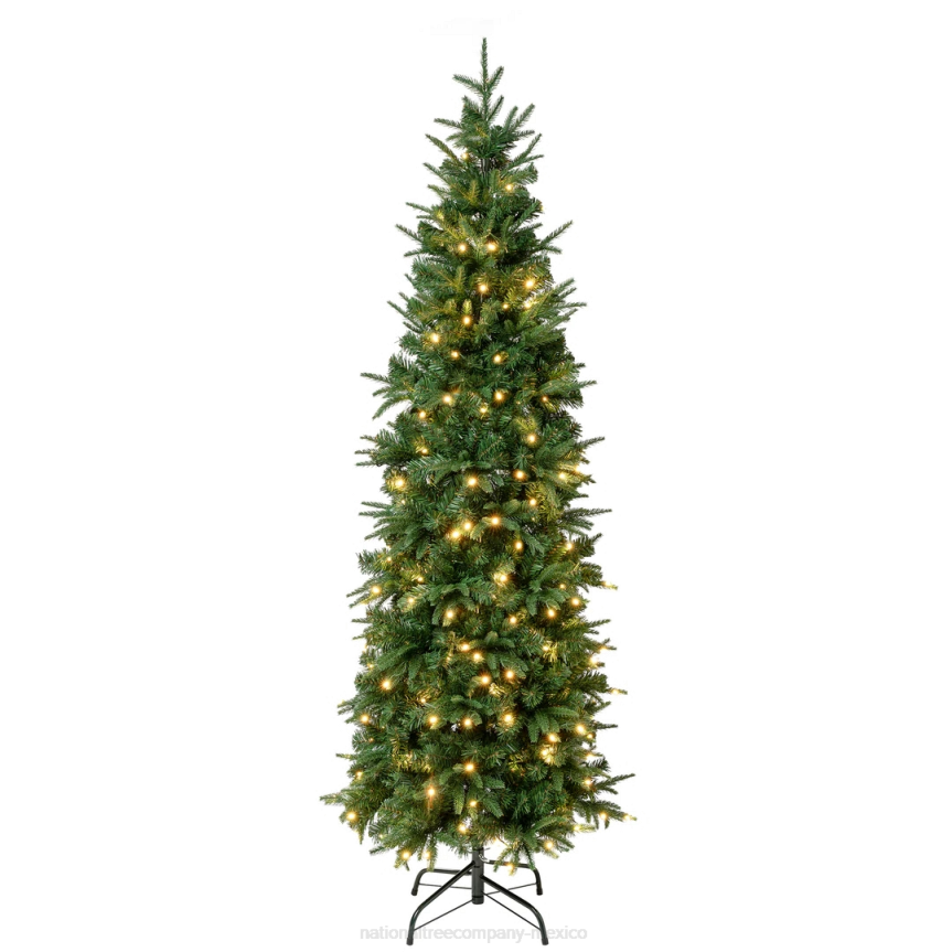 First Traditions Pre-Lit Duxbury Slim Christmas Tree with Hinged Branches, Warm White LED Lights, Plug In, 6 ft National Tree CompanyLBRH2