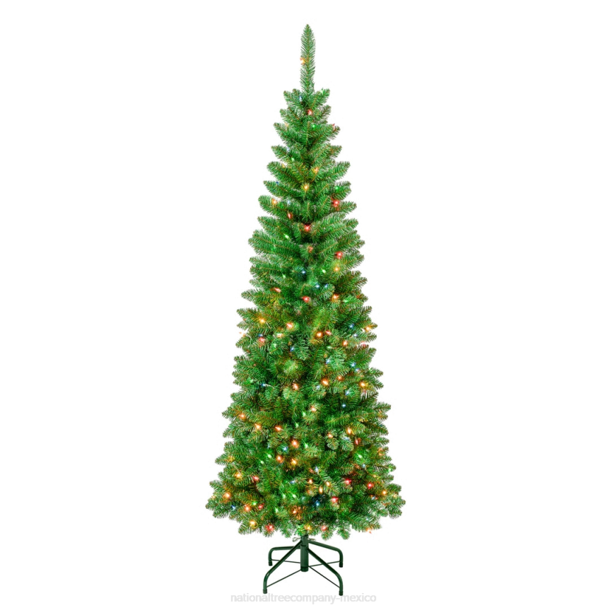 First Traditions Pre-Lit Rowan Pencil Slim Christmas Tree, Multicolor Incandescent Lights, Plug In, 6 ft National Tree CompanyLBRH76