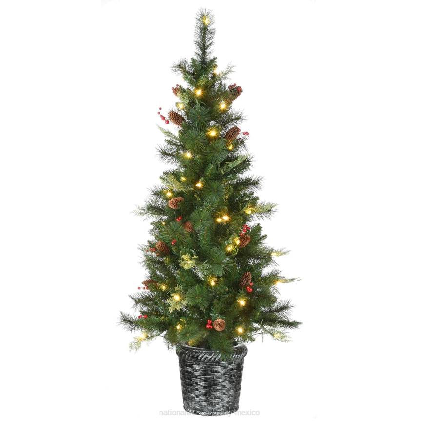 Pre-Lit Artificial Christmas Entrance Tree, Buzzard Pine, with Warm White LED Lights, Plug in, 5 ft National Tree CompanyLBRH106