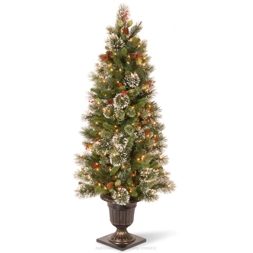Pre-Lit Artificial Entrance Christmas Tree, Wintry Pine, Green, White Lights, Decorated with Berry Clusters, Pine Cones, Includes Metal Base, 5 Feet National Tree CompanyLBRH175