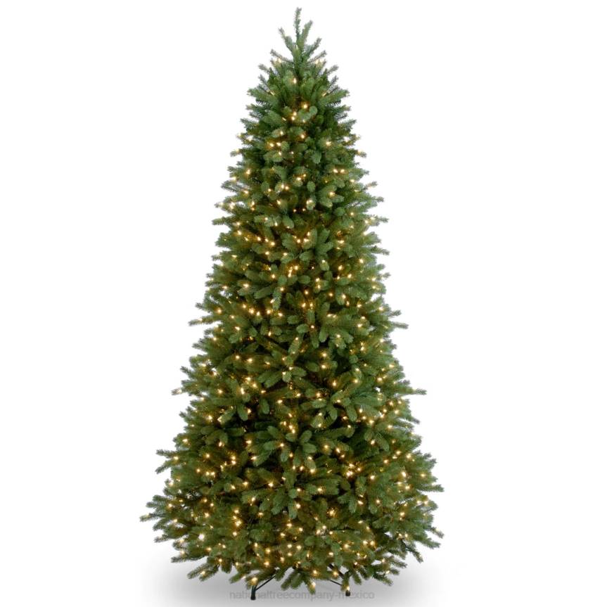 Pre-Lit Slim Artificial Christmas Tree, Green, Jersey Fraser Fir, 'Feel Real', White Lights, Includes Stand, 6.5 Feet National Tree CompanyLBRH30