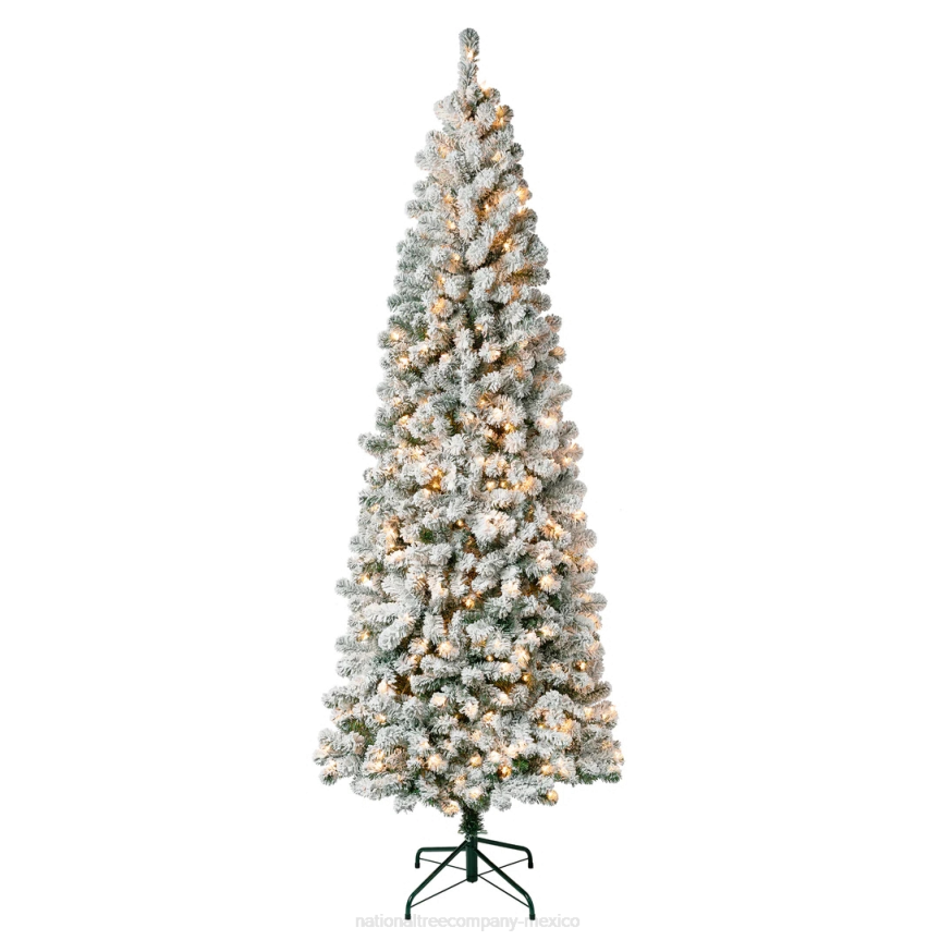 First Traditions Pre-Lit Acacia Flocked Tree Medium Christmas Tree, Clear Incandescent Lights, Plug In, 7.5 ft National Tree CompanyLBRH115