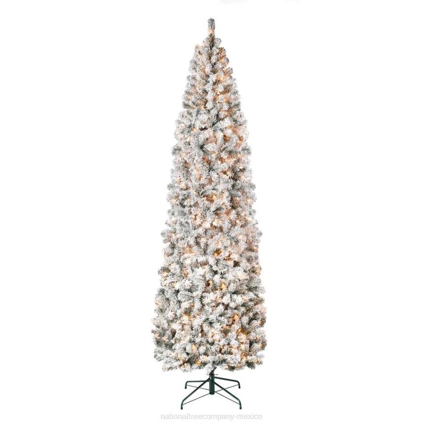 First Traditions Pre-Lit Acacia Flocked Tree Slim Christmas Tree, Clear Incandescent Lights, Plug In, 9 ft National Tree CompanyLBRH116