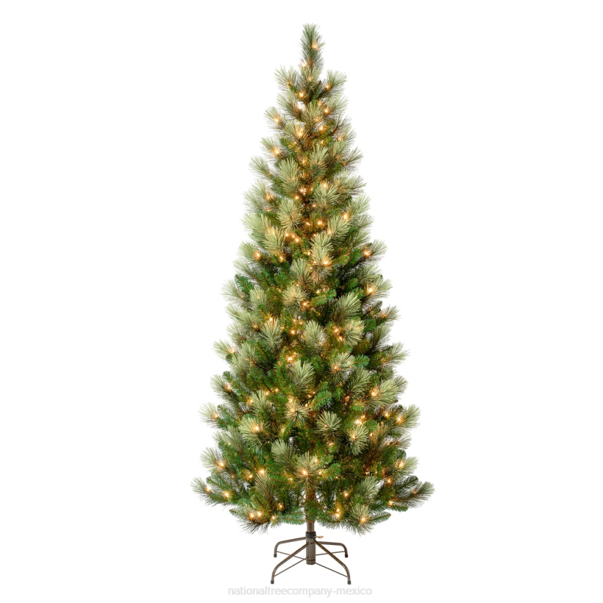 First Traditions Pre-Lit Charleston Pine Snowy Slim Christmas Tree, Clear Incandescent Lights, Plug In, 7.5 ft National Tree CompanyLBRH113