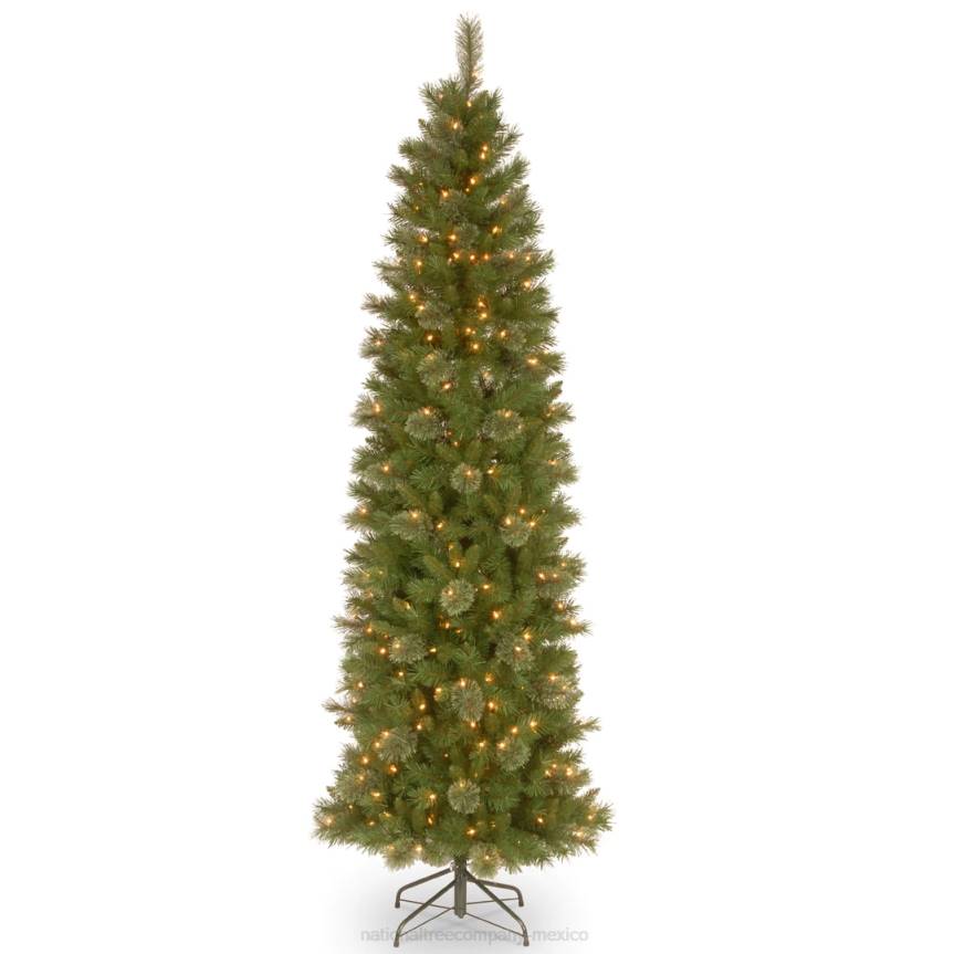 Pre-Lit Artificial Slim Christmas Tree, Tacoma Pine, Green, White Lights, Includes Stand, 9 Feet National Tree CompanyLBRH50