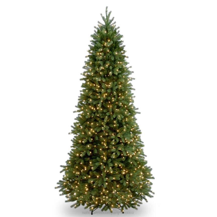 Pre-Lit Slim Artificial Christmas Tree, Green, Jersey Fraser Fir, 'Feel Real', White Lights, Includes Stand, 9 Feet National Tree CompanyLBRH85