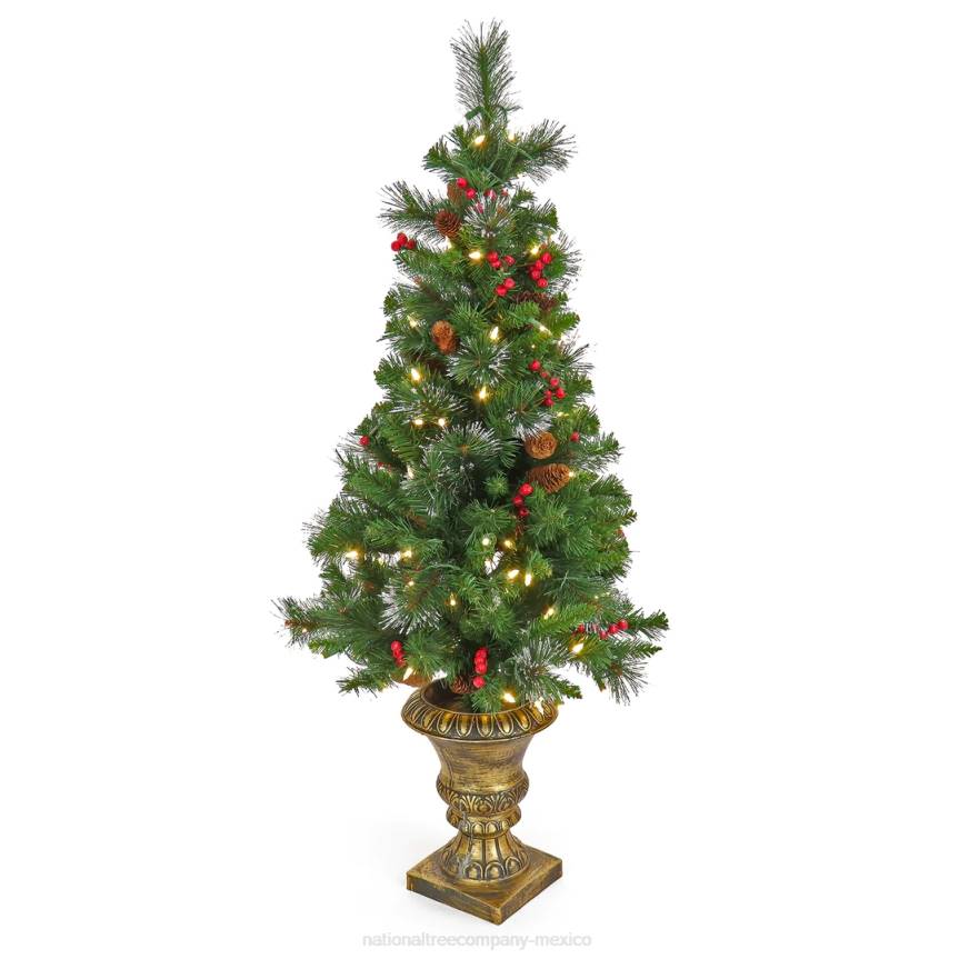 4 ft. Crestwood Spruce Entrance Tree with Warm White LED Lights National Tree CompanyLBRH10