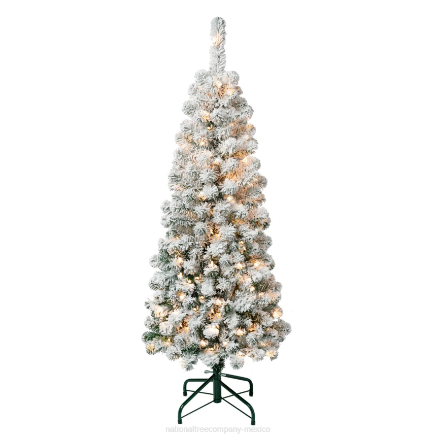 First Traditions Pre-Lit Acacia Flocked Tree Slim Christmas Tree, Clear Incandescent Lights, Plug In, 4.5 ft National Tree CompanyLBRH114