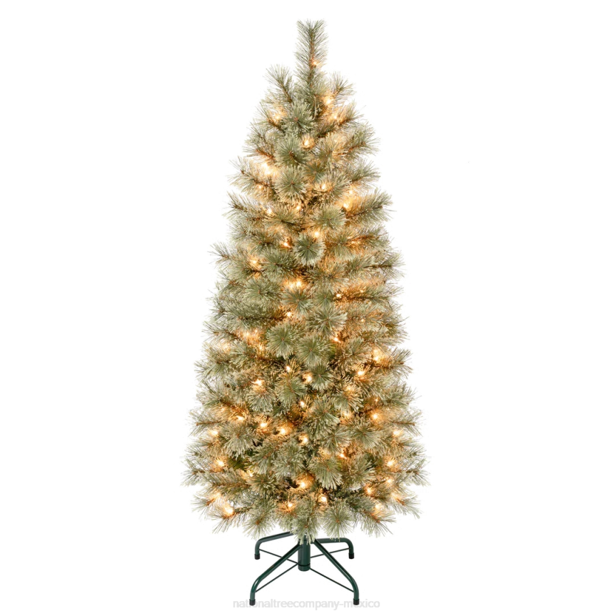 First Traditions Pre-Lit Arcadia Pine Cashmere Slim Christmas Tree, Clear Incandescent Lights, Plug In, 4.5 ft National Tree CompanyLBRH155
