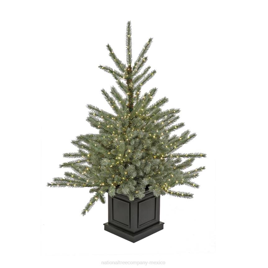 Pre-Lit Artificial Christmas Entrance Tree, Blue Evergreen , Dual Rice LED Lights, Plug in, 48 in National Tree CompanyLBRH71