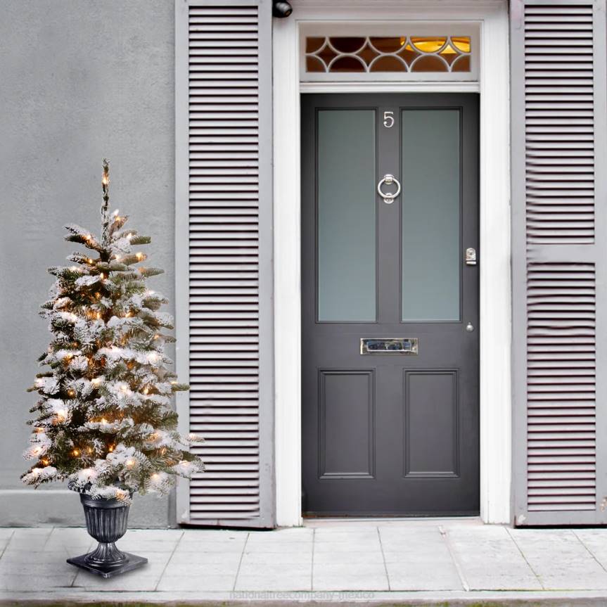 Pre-Lit Artificial Entrance Christmas Tree, Snowy Camden, Green, White Lights, Includes Metal Base, 4 Feet National Tree CompanyLBRH149